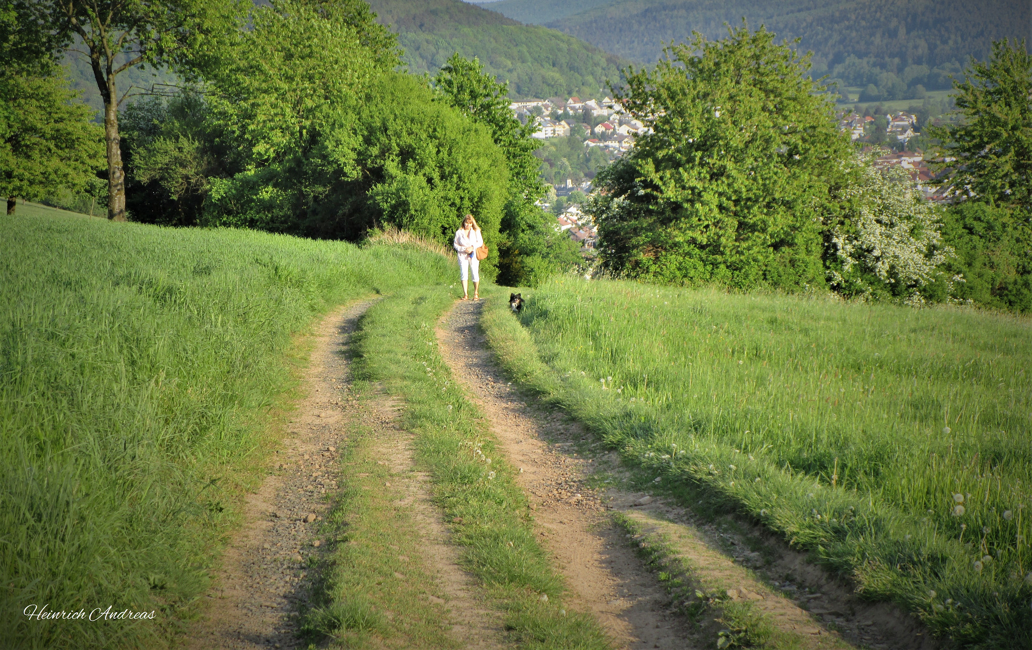 Canon PowerShot ELPH 150 IS (IXUS 155 / IXY 140) sample photo. Auf dem wanderweg photography