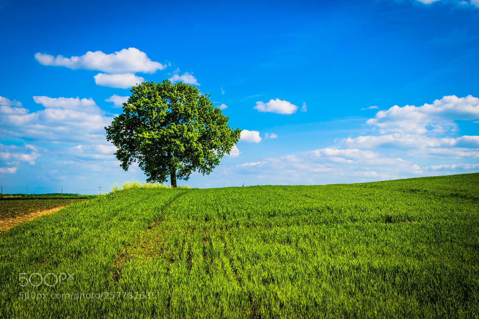Nikon D5300 sample photo. Countryside scene photography