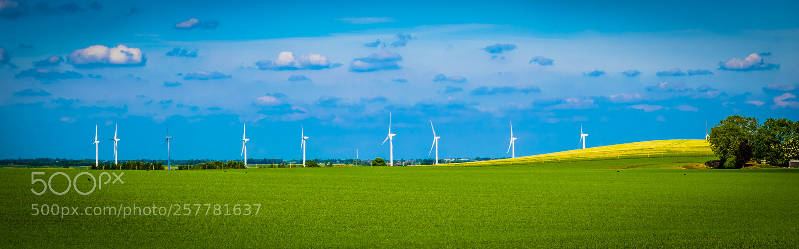 Nikon D5300 sample photo. Countryside scene photography