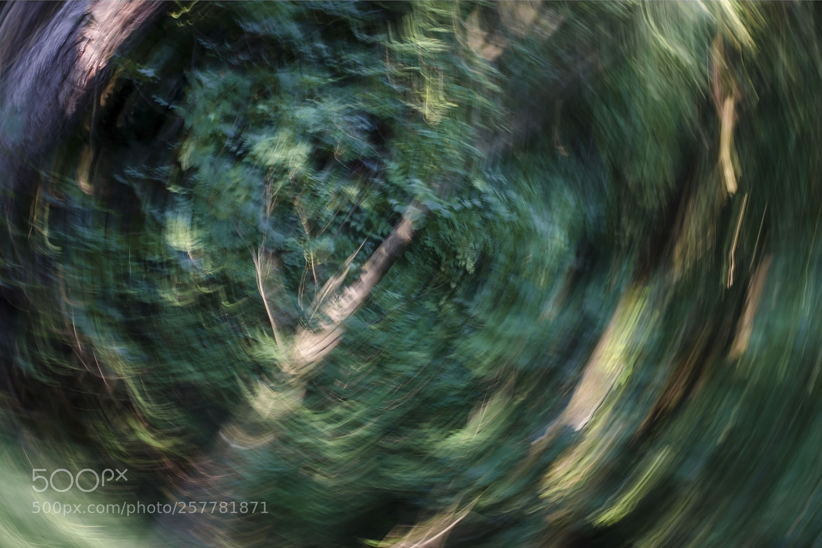 Nikon D7000 sample photo. Vertigo photography