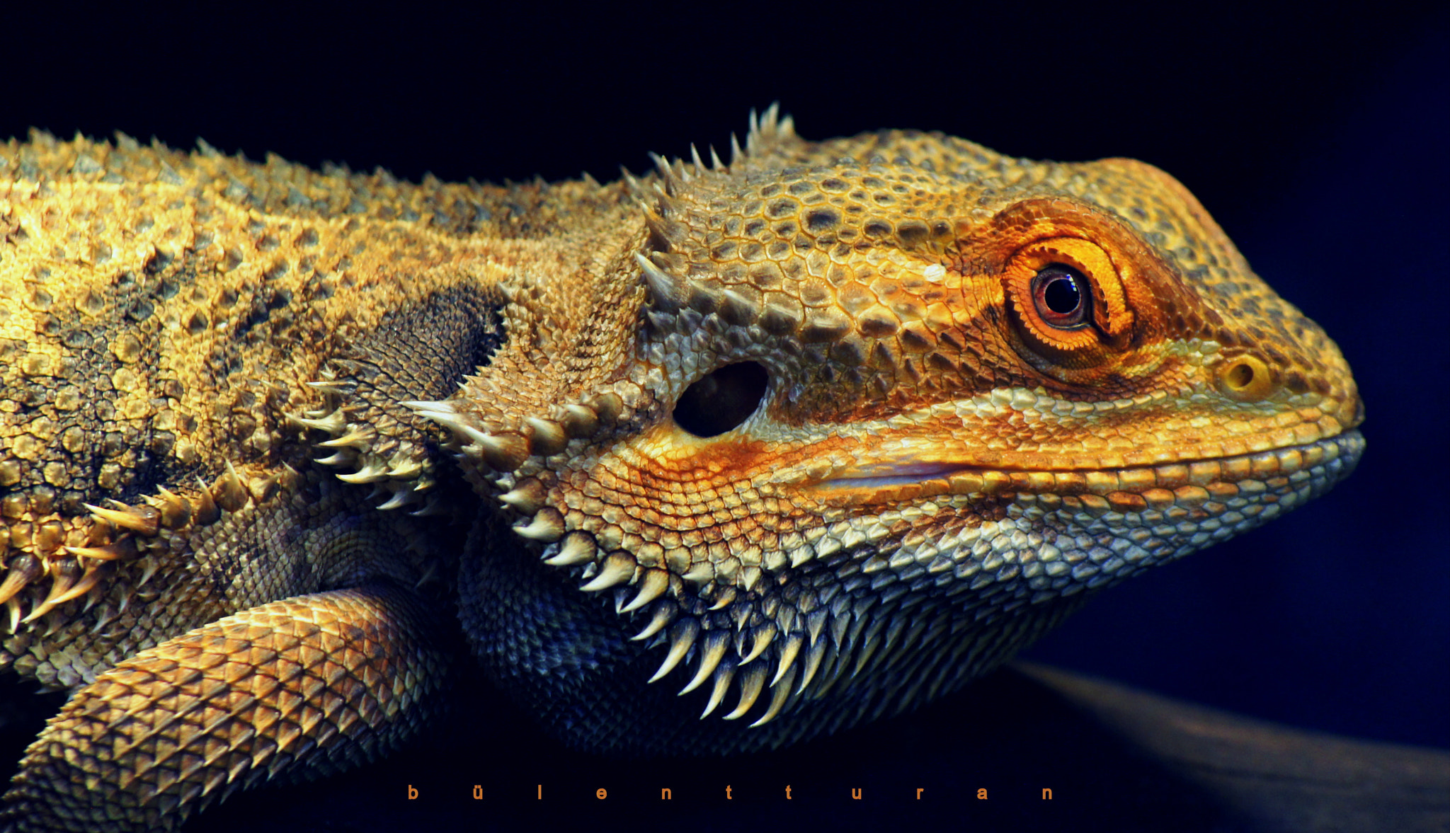 Sony DT 55-200mm F4-5.6 SAM sample photo