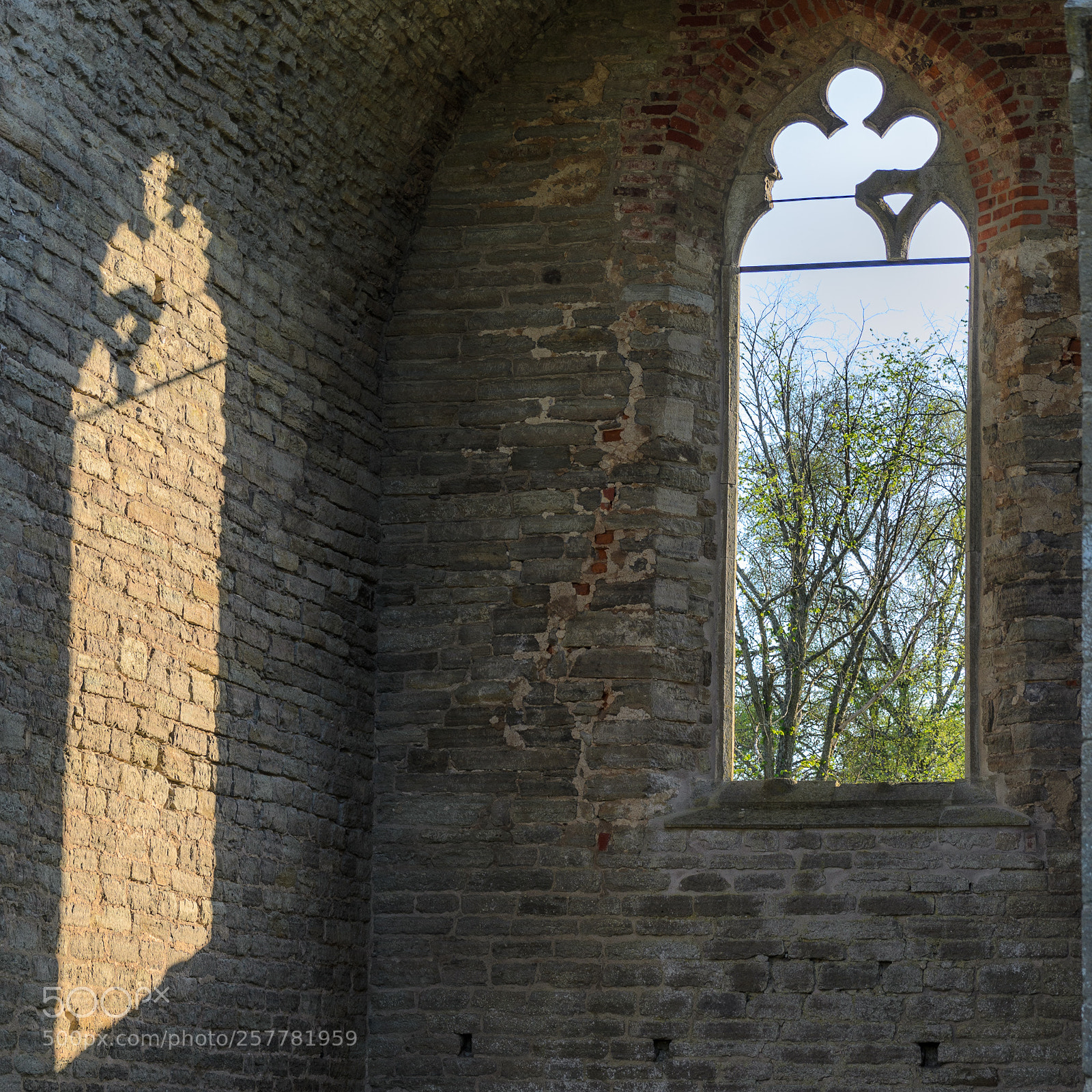 Nikon D7000 sample photo. Alvastra monestary ruin photography