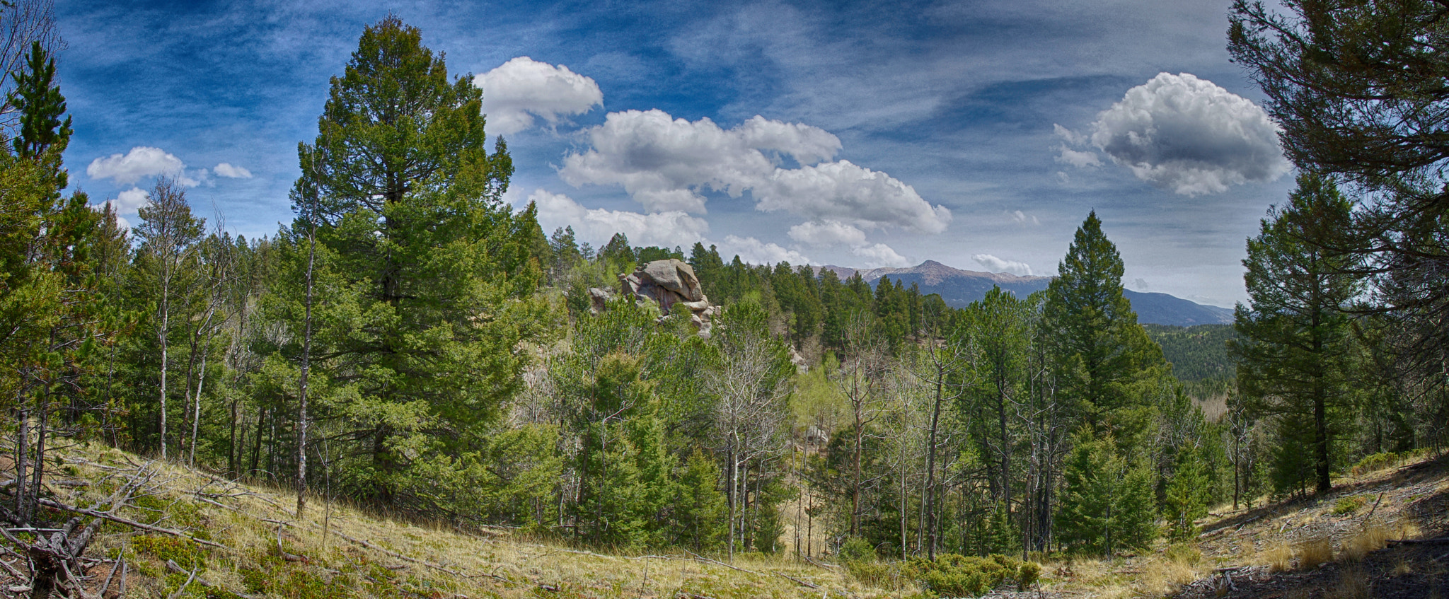 Pentax K-5 IIs sample photo. Untitled panorama photography