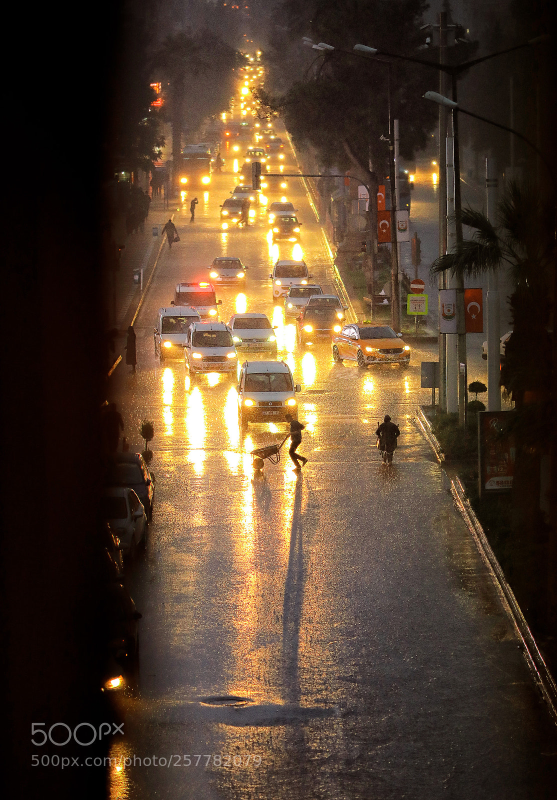 Canon EOS 5D Mark IV sample photo. Rain.. photography