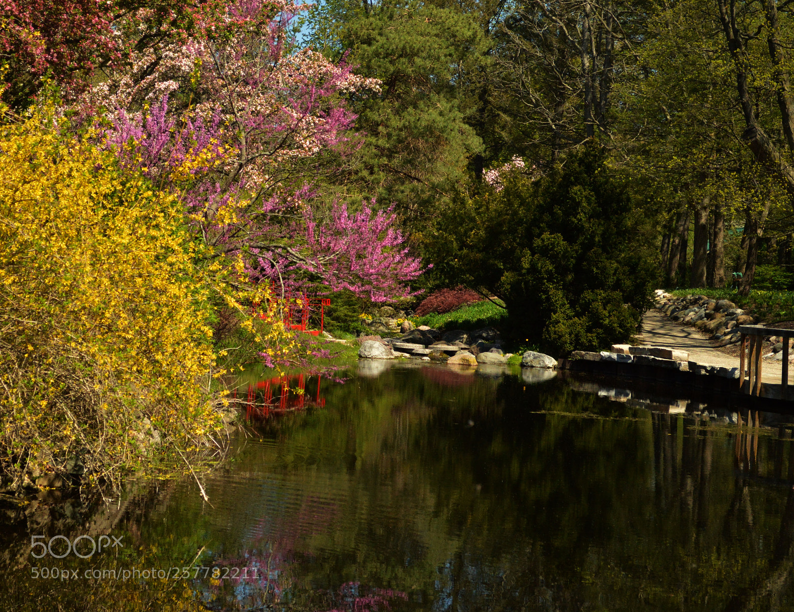 Nikon D3200 sample photo. Spring photography
