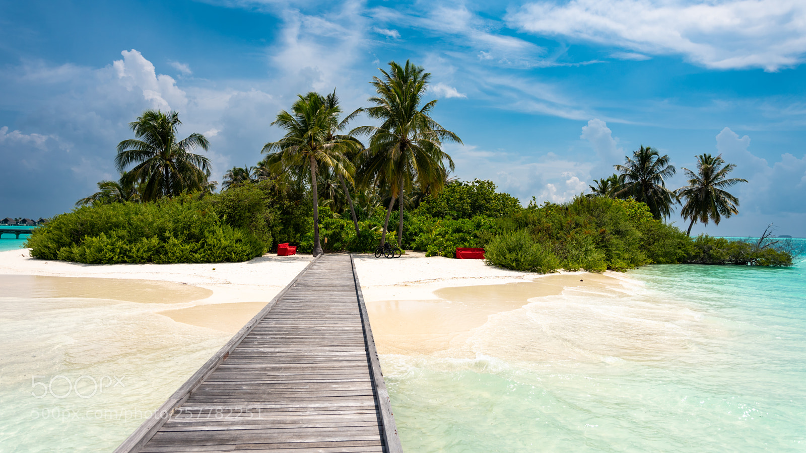 Nikon D750 sample photo. Way to paradise photography