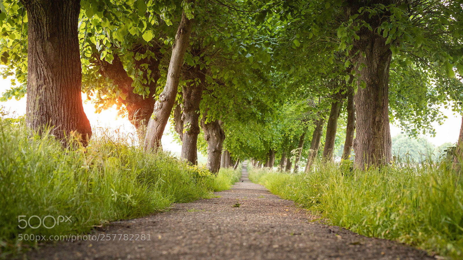 Canon EOS 6D Mark II sample photo. Weg zum schlangenkapellchen photography