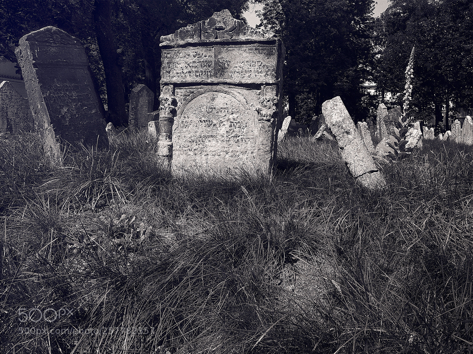 Olympus OM-D E-M1 sample photo. Jewish cementery photography