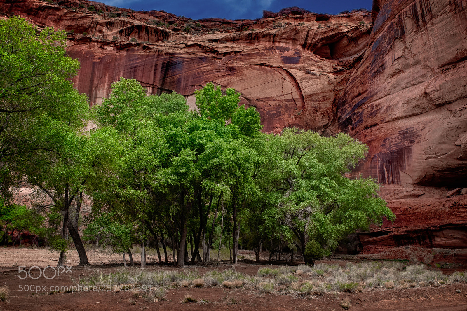 Nikon D750 sample photo. Vibrent colors photography