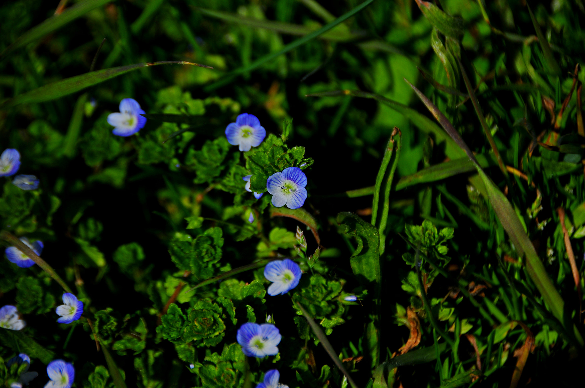 Nikon D300 sample photo. Dsc photography