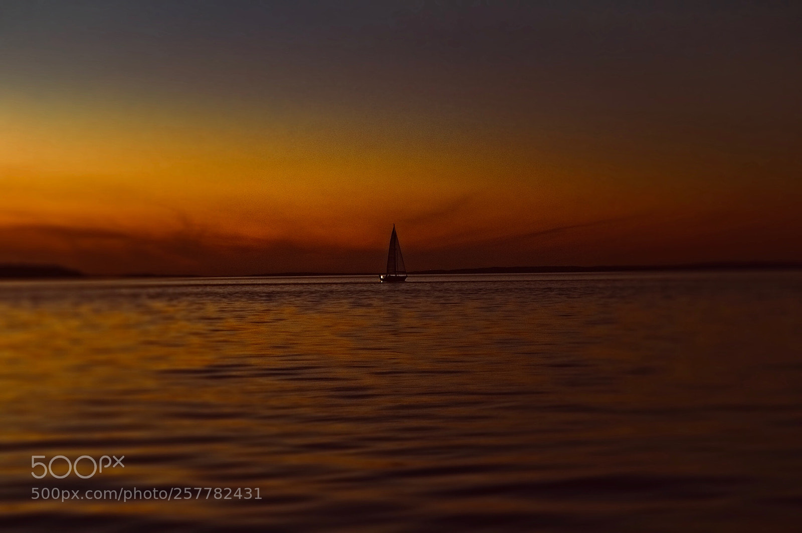 Nikon D3100 sample photo. Sunset solitude  photography