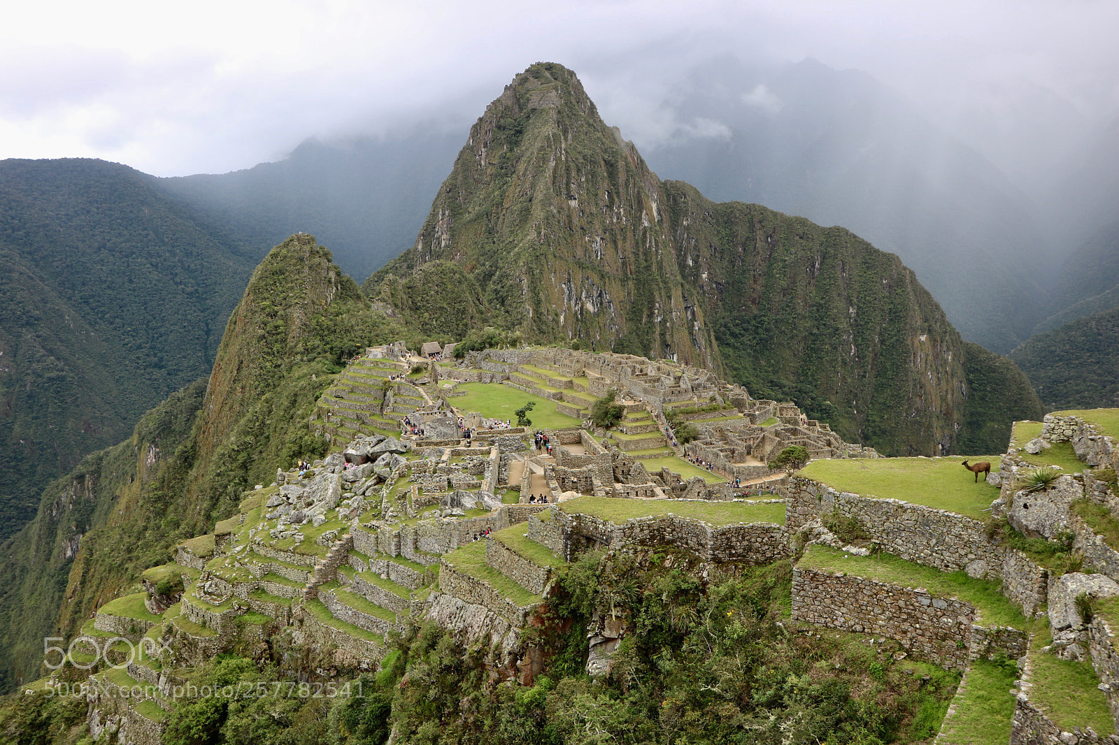 Canon EOS 750D (EOS Rebel T6i / EOS Kiss X8i) sample photo. Machu picchu photography