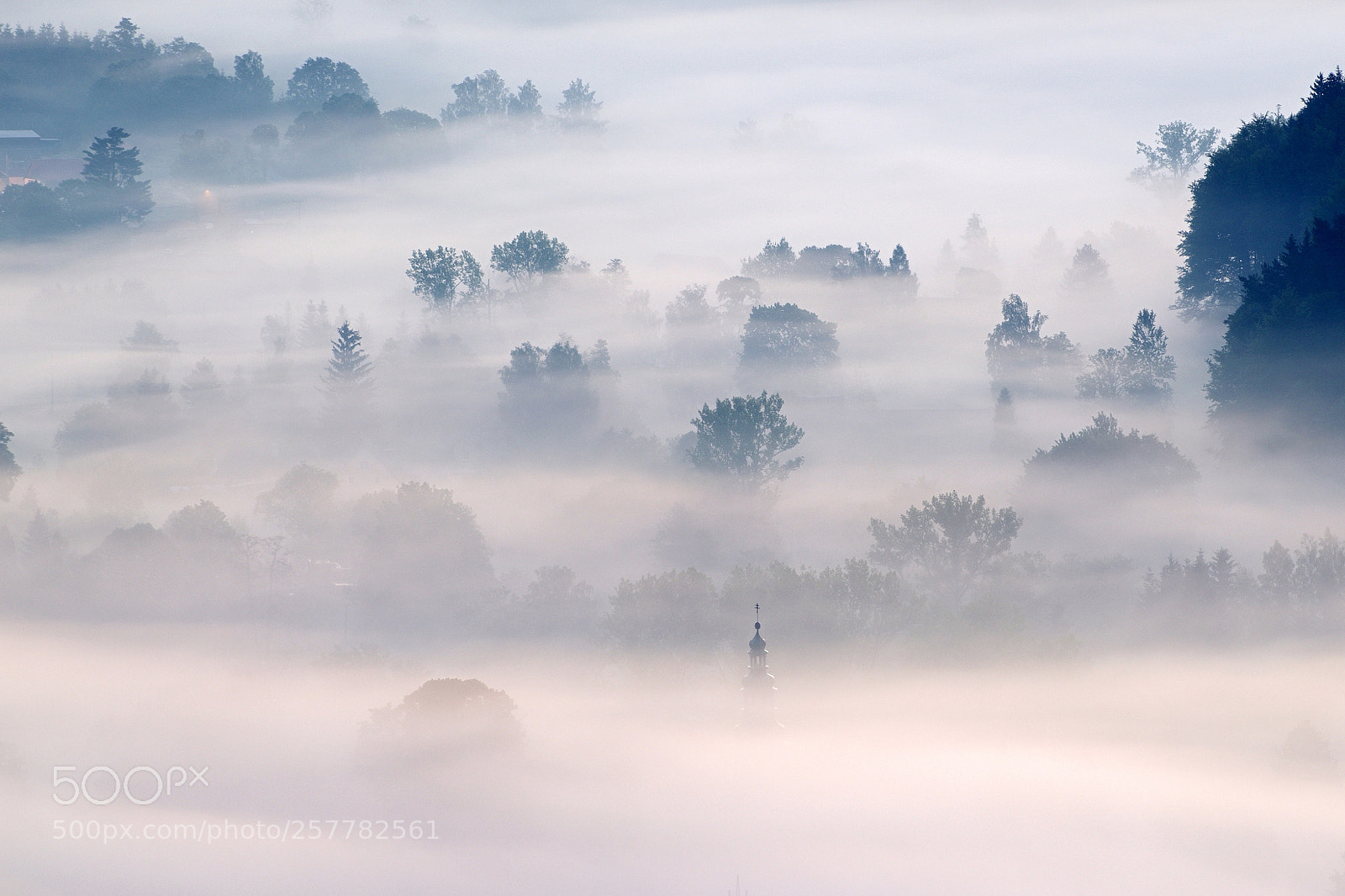 Canon EOS 77D (EOS 9000D / EOS 770D) sample photo. Misty morning photography