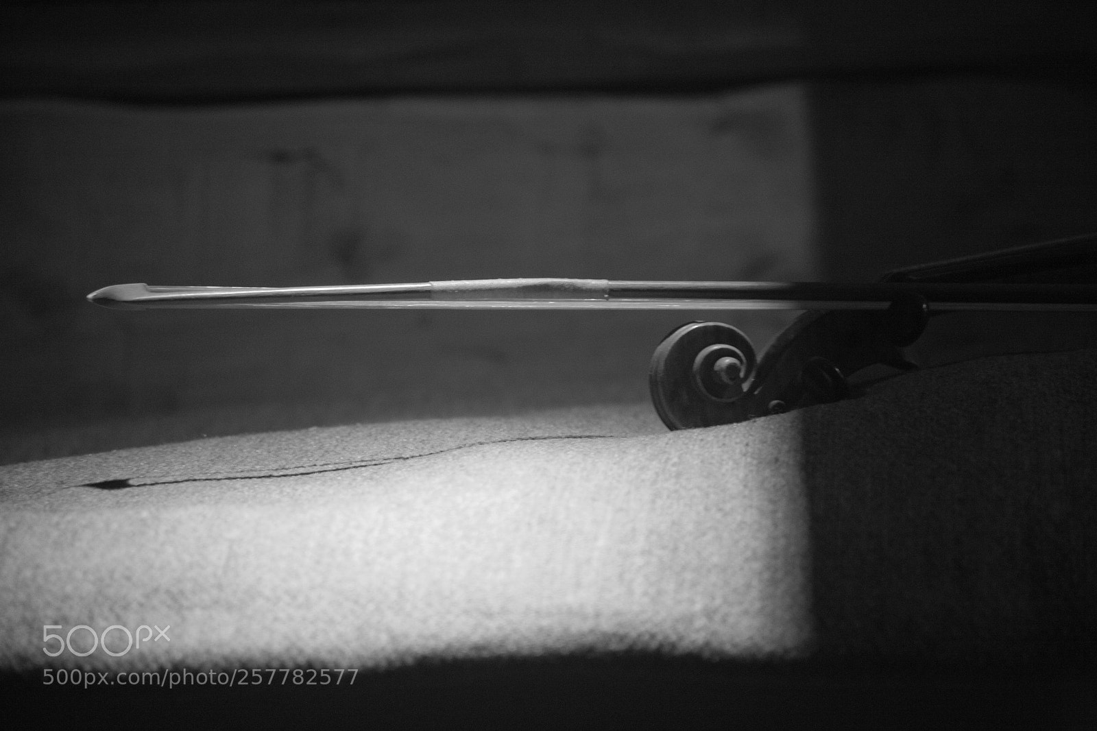 Canon EOS 5D sample photo. Fiddle photography