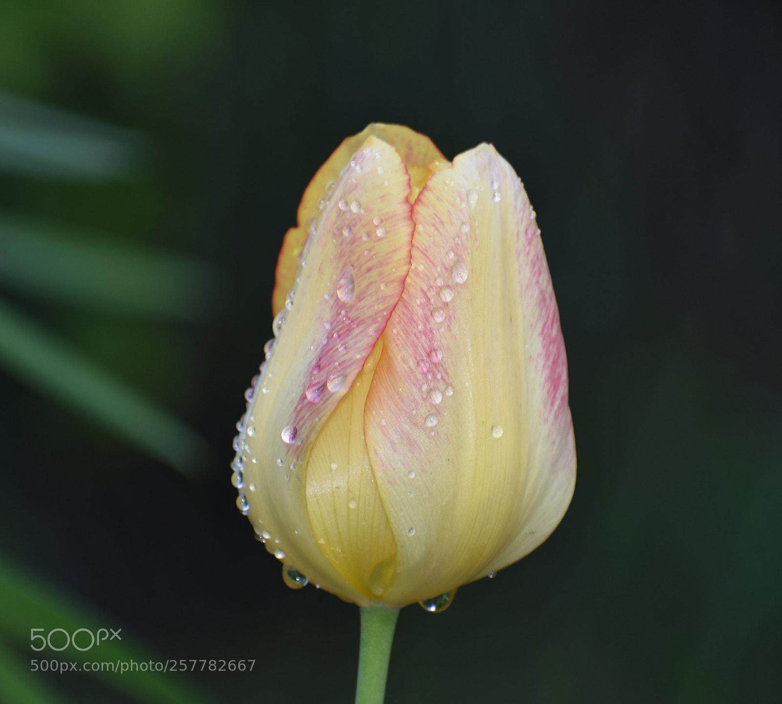 Nikon D3400 sample photo. Untitled photography