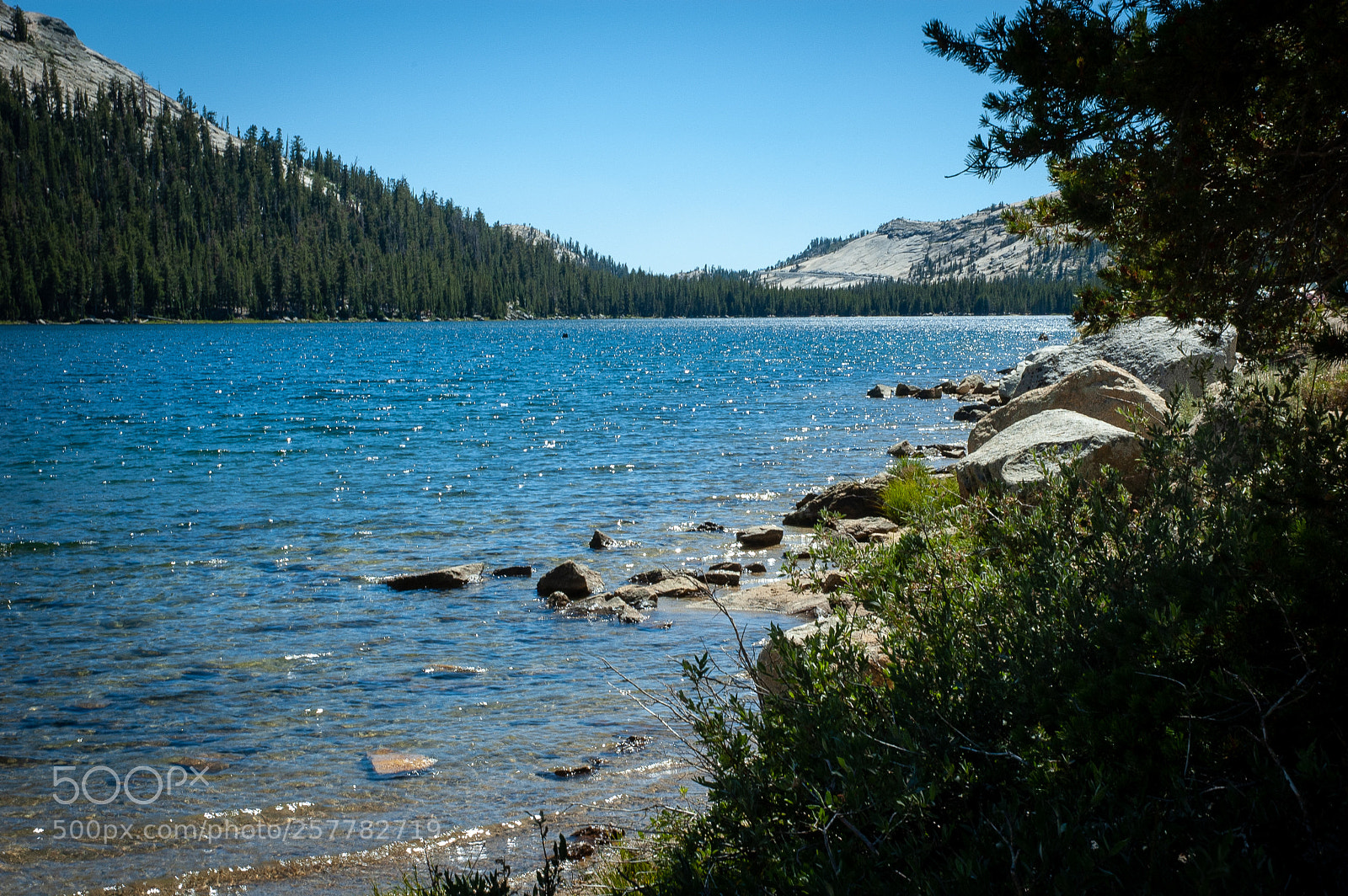 Nikon D70s sample photo. Yosemite photography