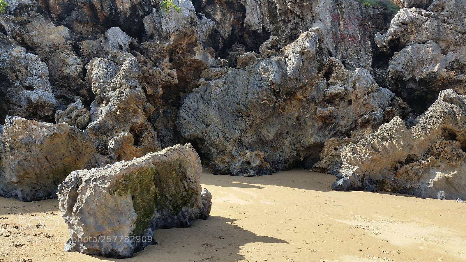 Samsung Galaxy S5 sample photo. 20170924_140940.jpg photography