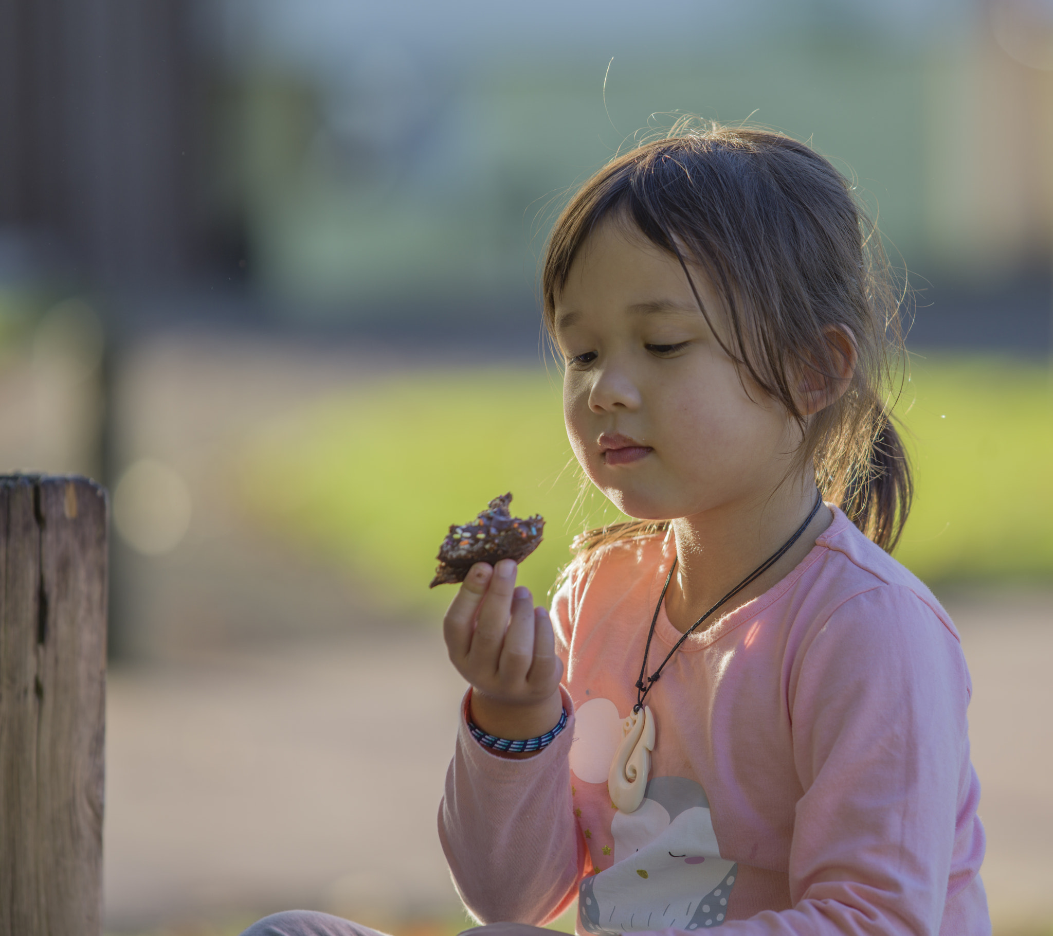 Hasselblad X1D-50c sample photo
