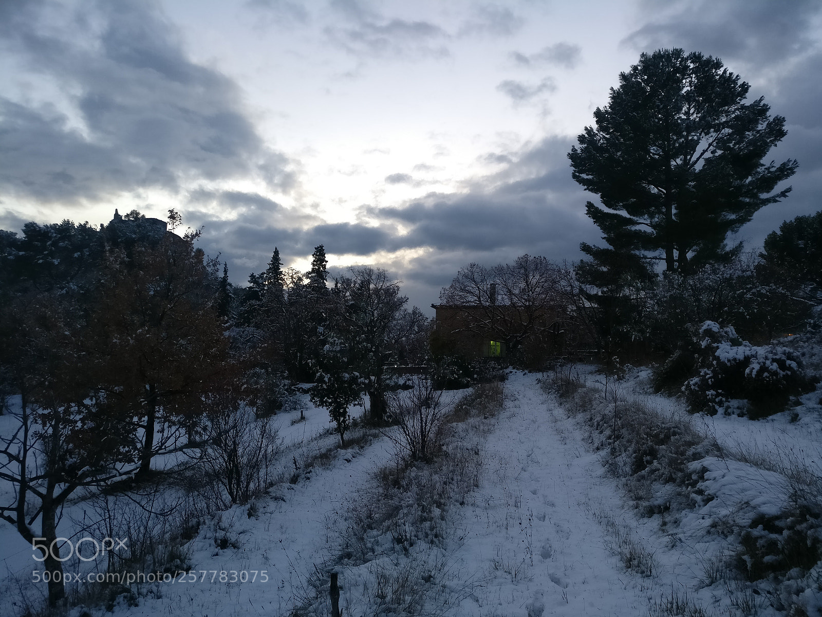 OnePlus A3003 sample photo. Img_20171201_171507.jpg photography