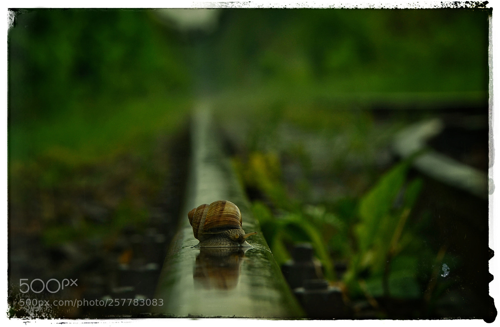 Nikon D7000 sample photo. I'm waiting for my photography