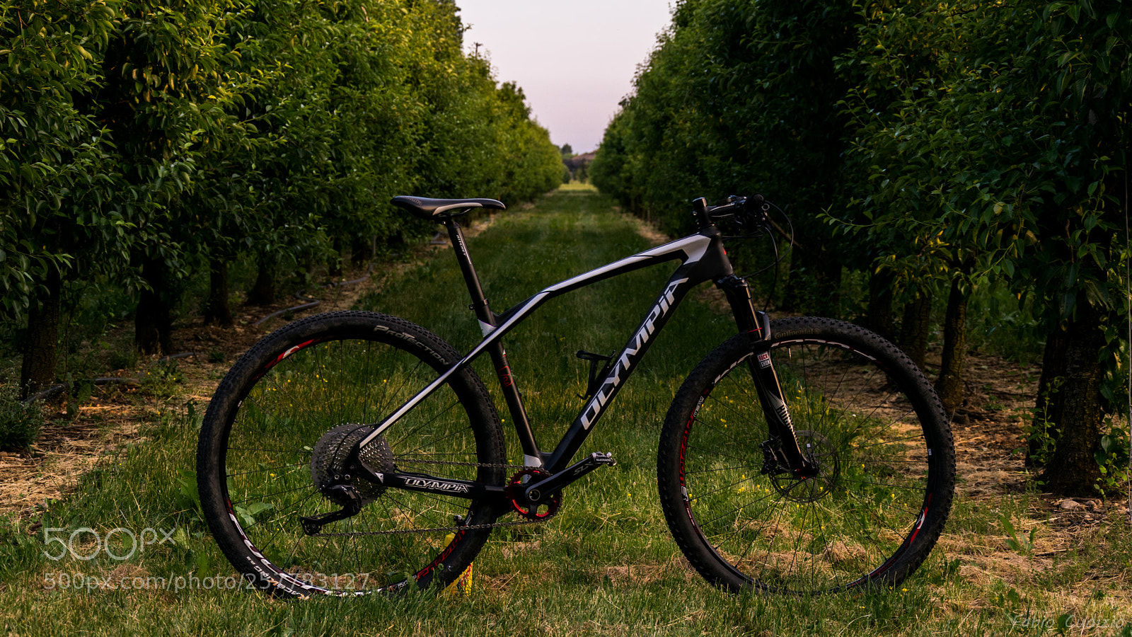 Nikon D3300 sample photo. Mtb photography