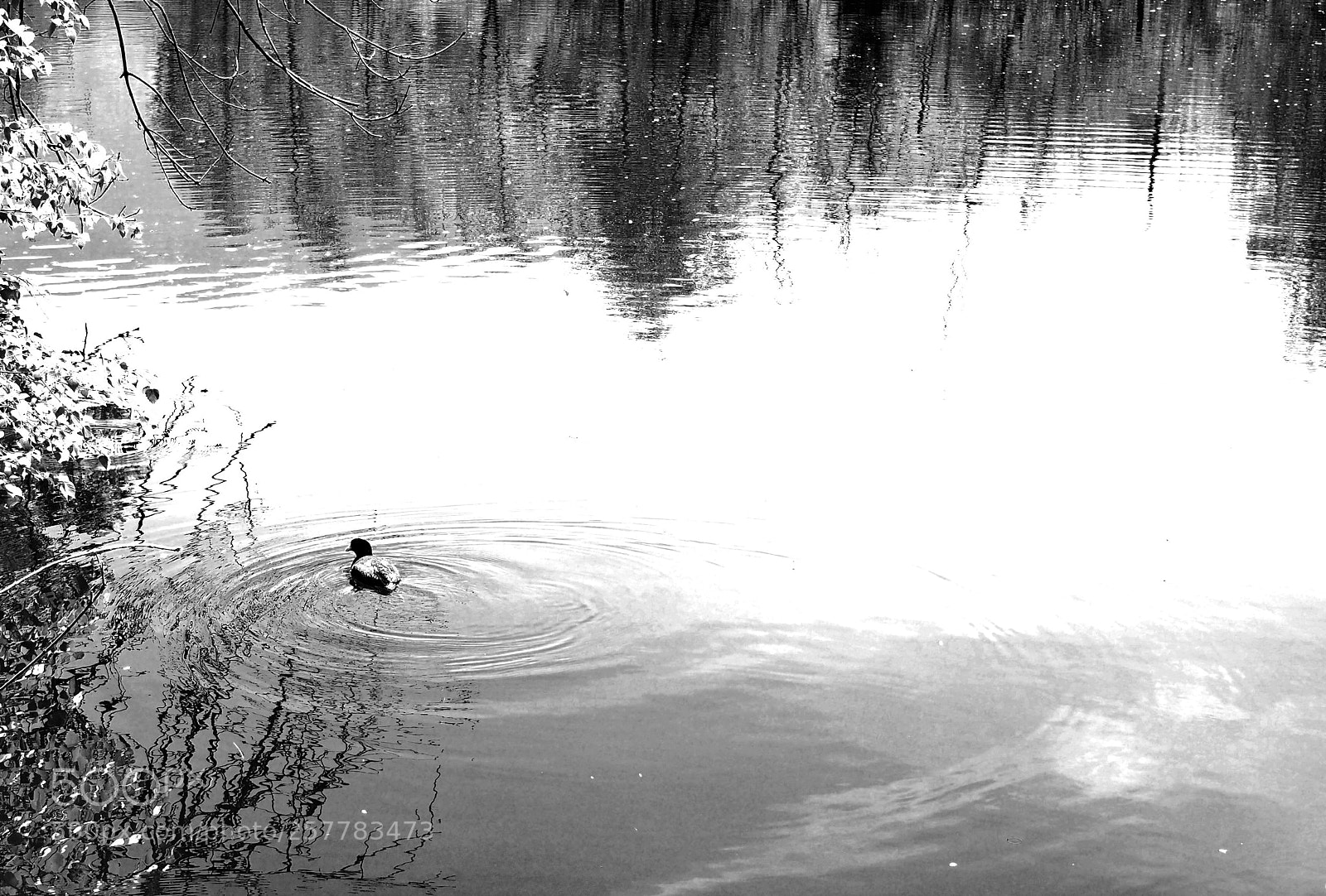 Olympus OM-D E-M5 sample photo. Water painting 2 photography