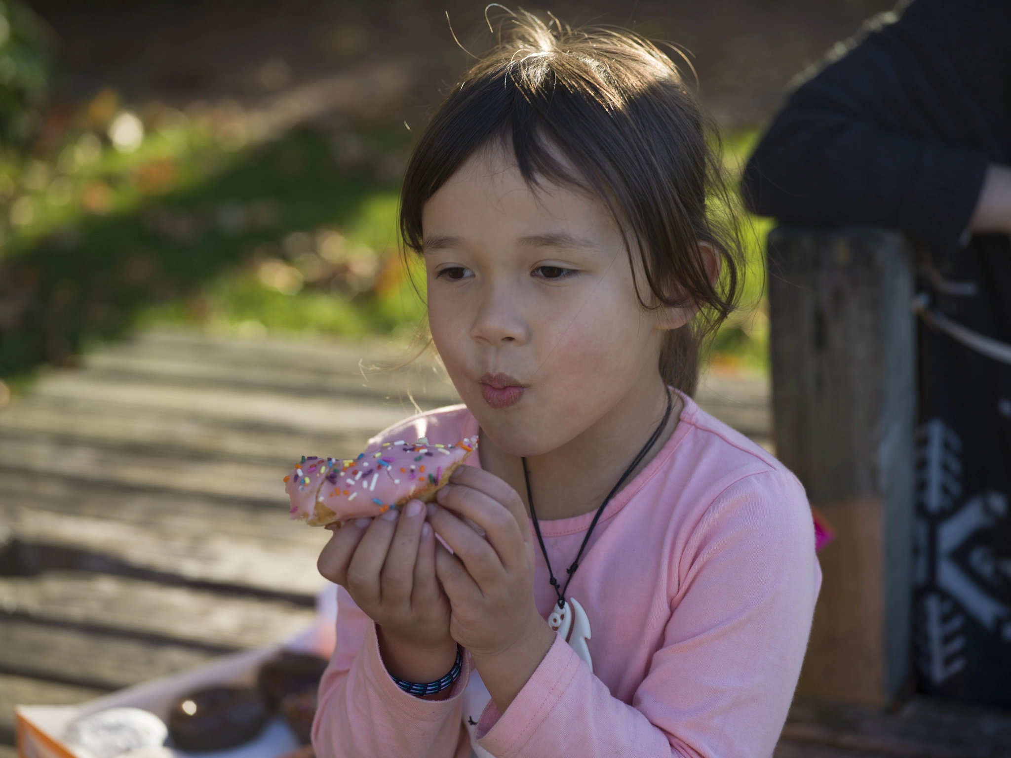 Hasselblad X1D-50c sample photo