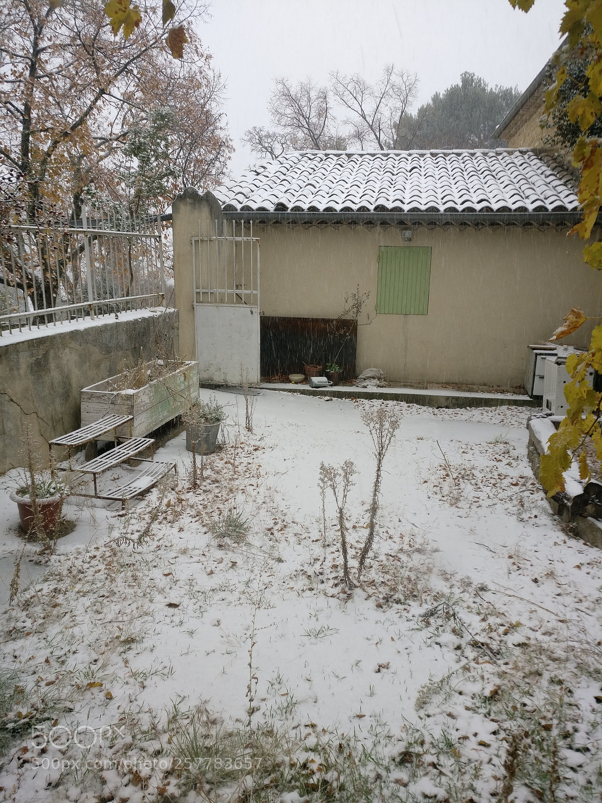 OnePlus A3003 sample photo. Img_20171201_094117.jpg photography