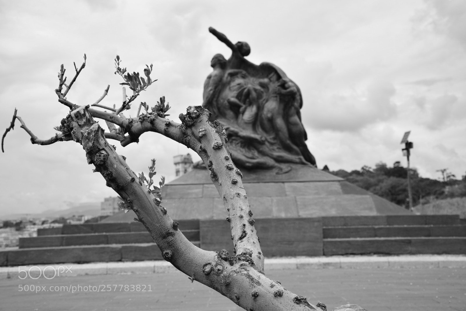 Nikon D5300 sample photo. Untitled photography