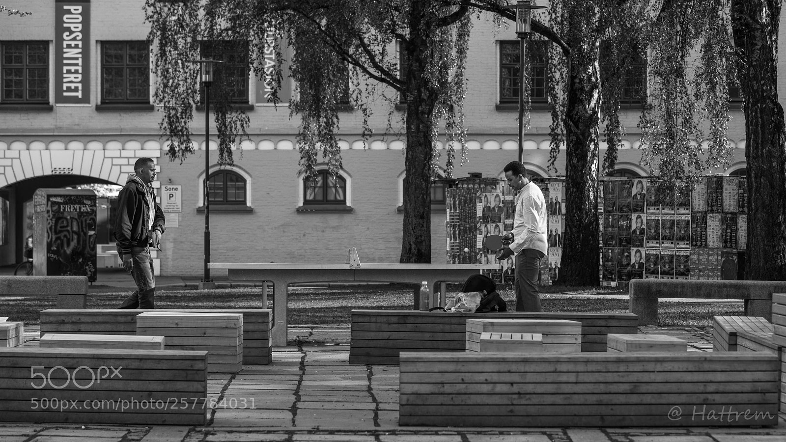 Canon EOS 5D Mark IV sample photo. In to the game photography