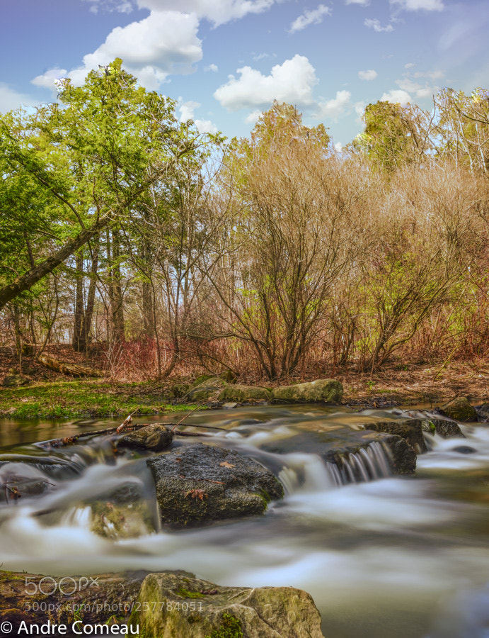 Nikon D810 sample photo. River photography