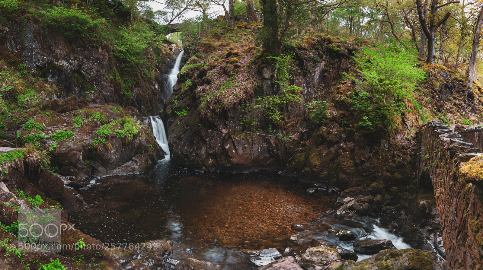 Nikon D3 sample photo. Aira force photography