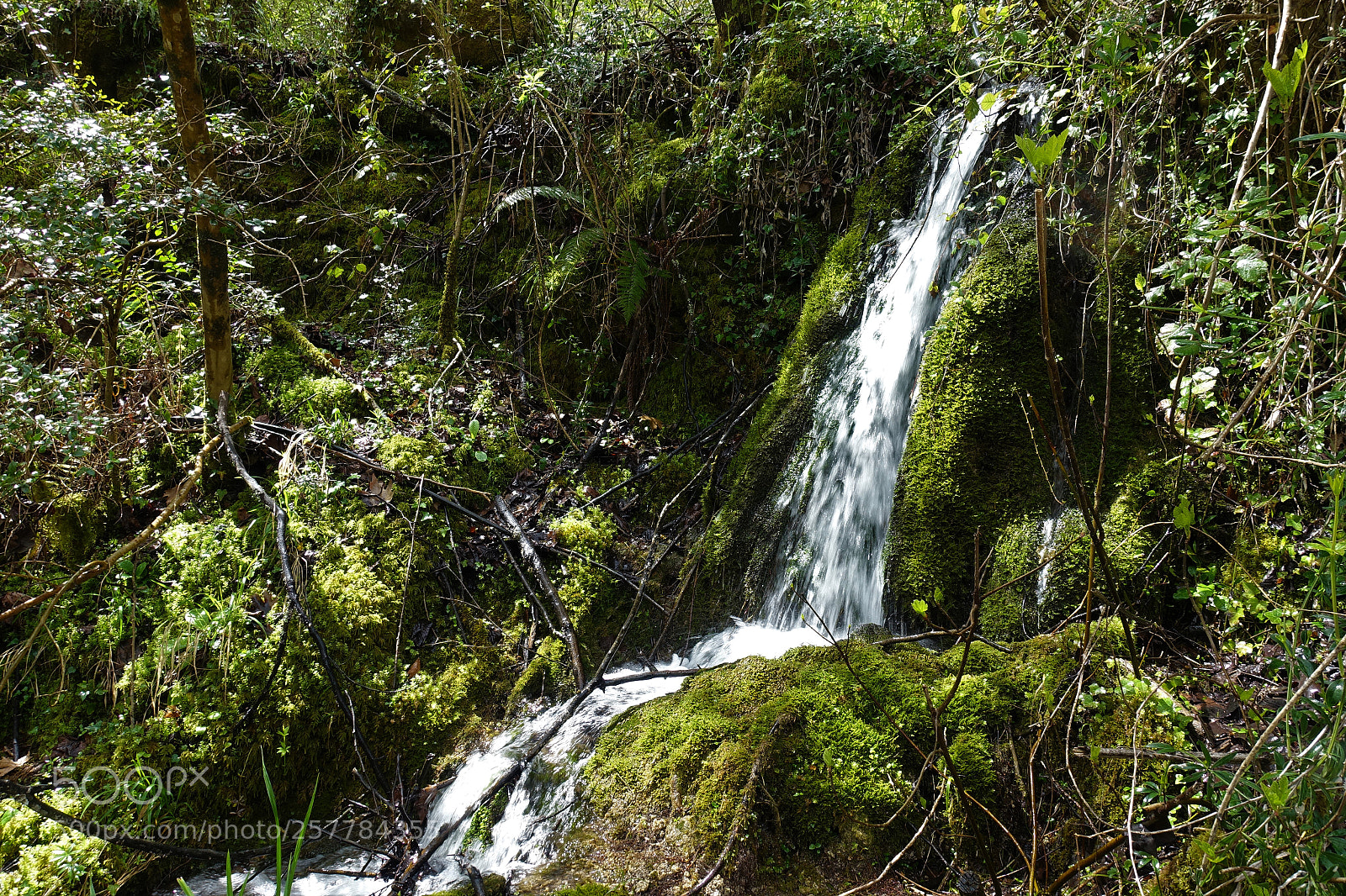 Sony Cyber-shot DSC-RX100 III sample photo. Small waterfall in tzoumerka photography