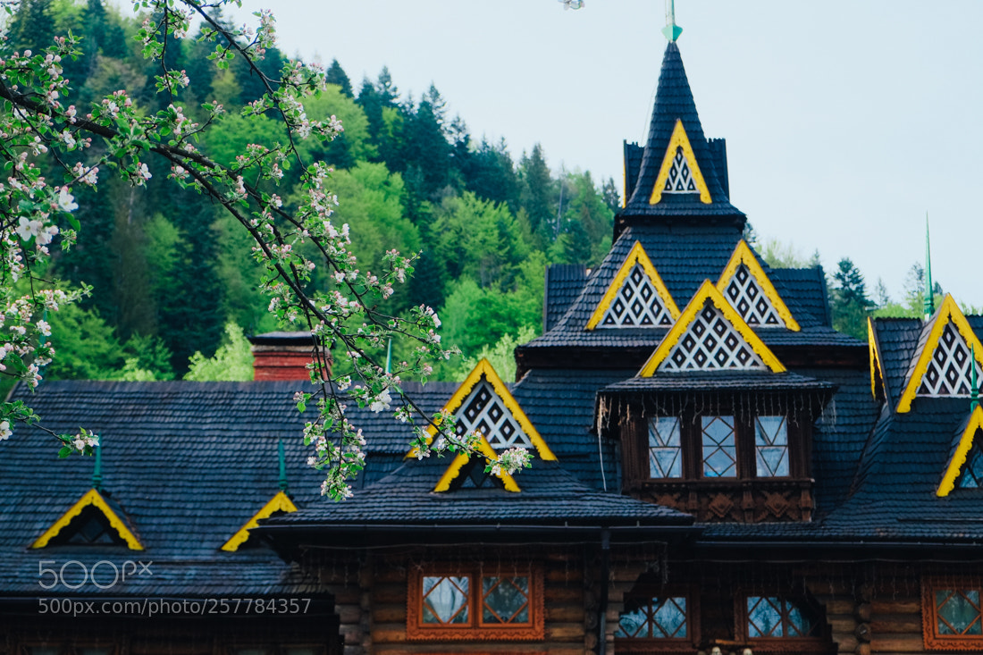 Fujifilm X-E1 sample photo. Spring at yaremche village photography