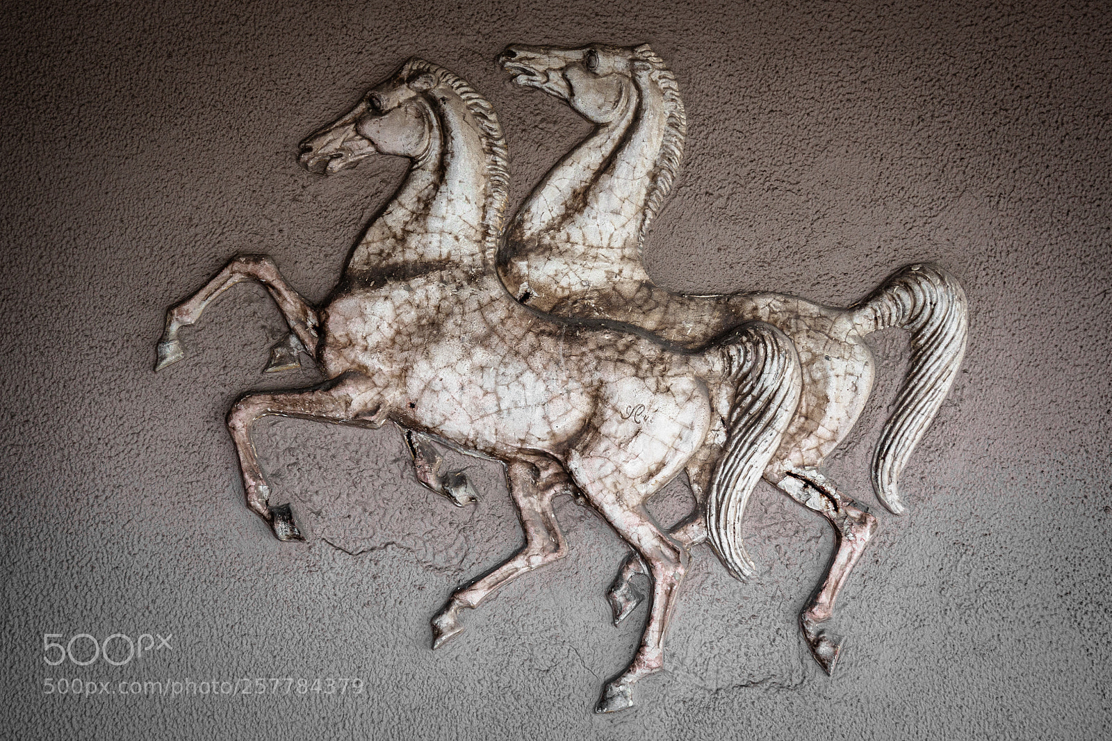 Canon EOS 50D sample photo. Horses photography