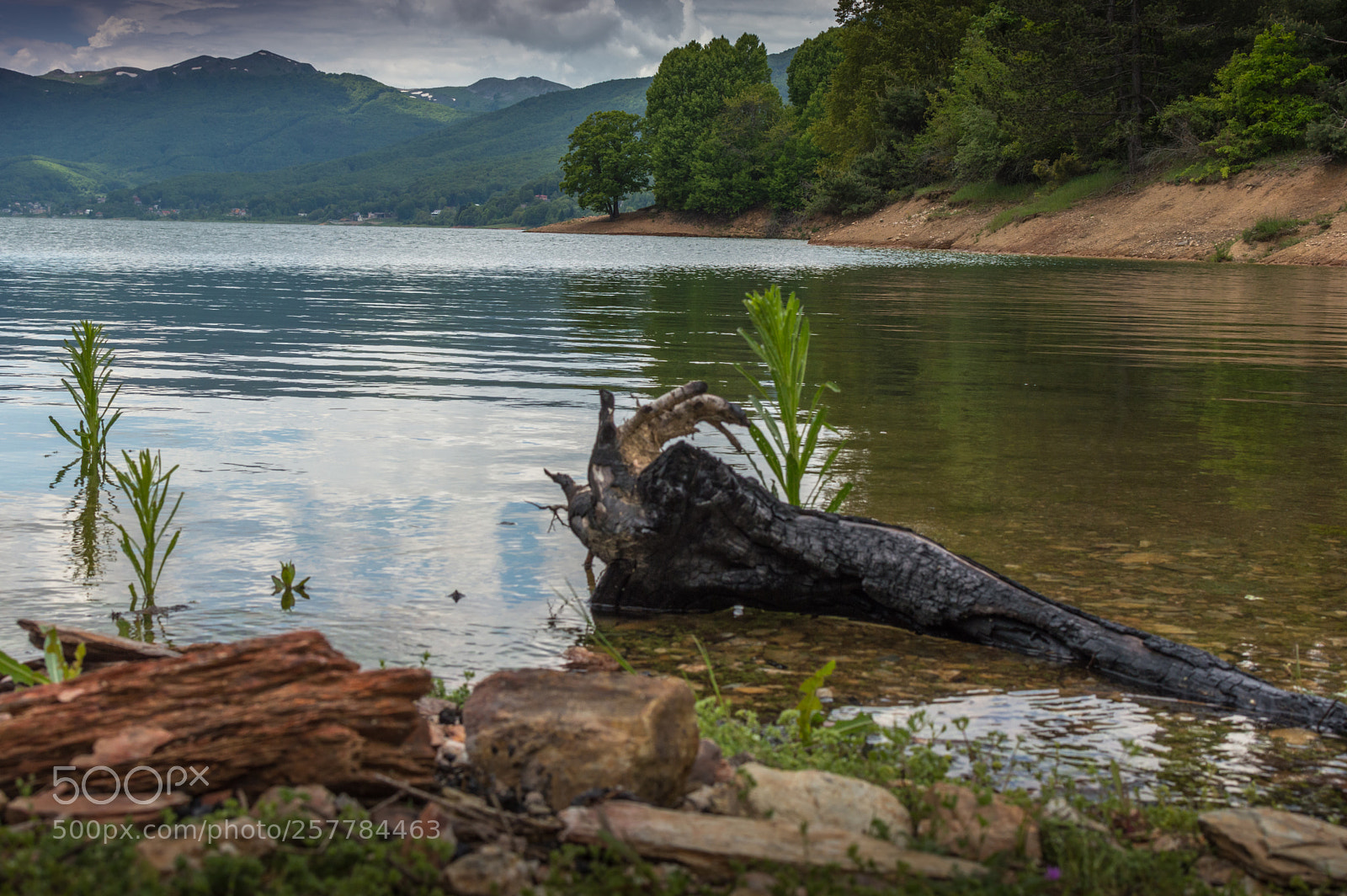 Nikon D3200 sample photo. Fire leftover in lake photography