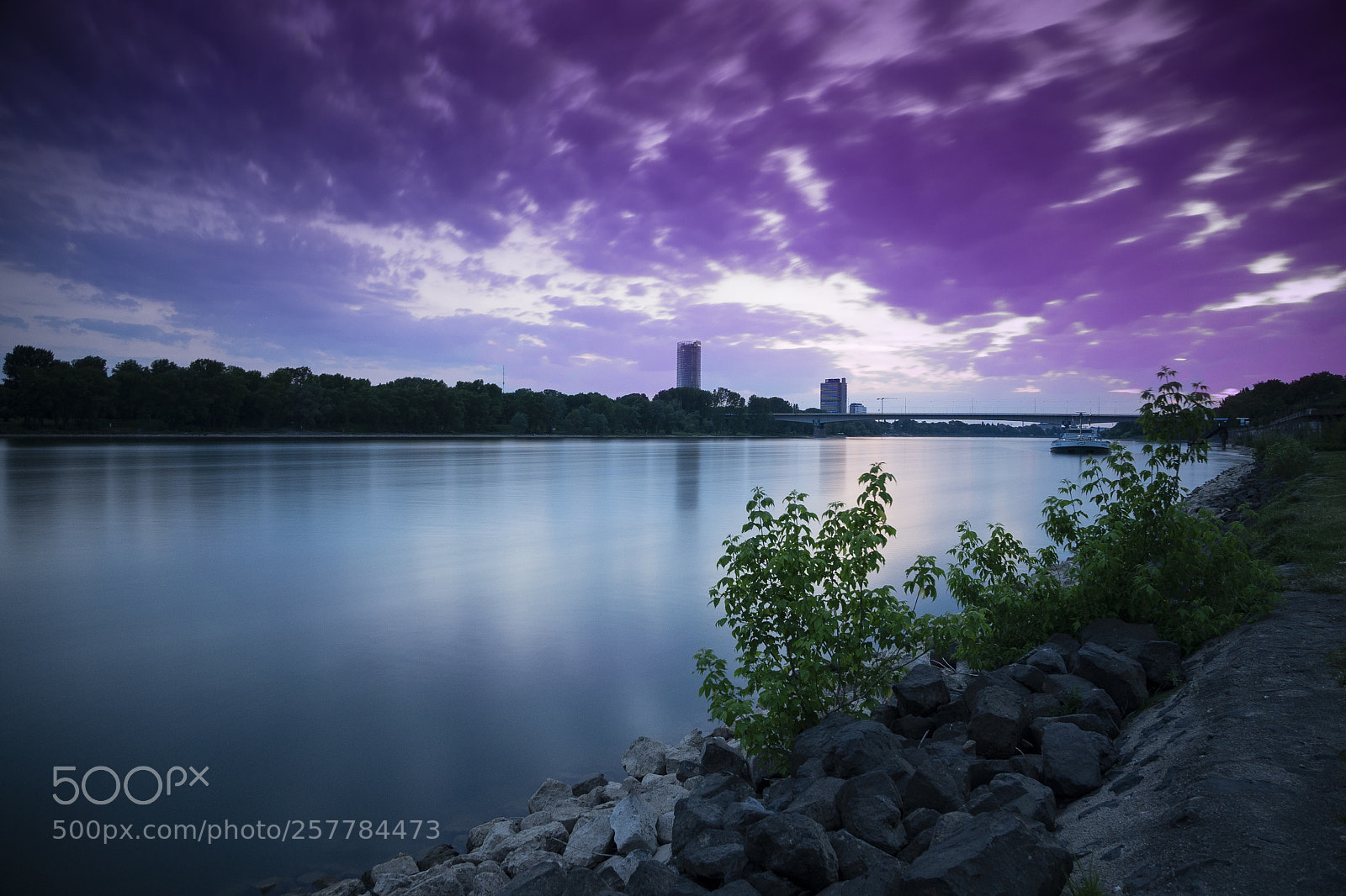 Sony a7 sample photo. Rhein at night photography