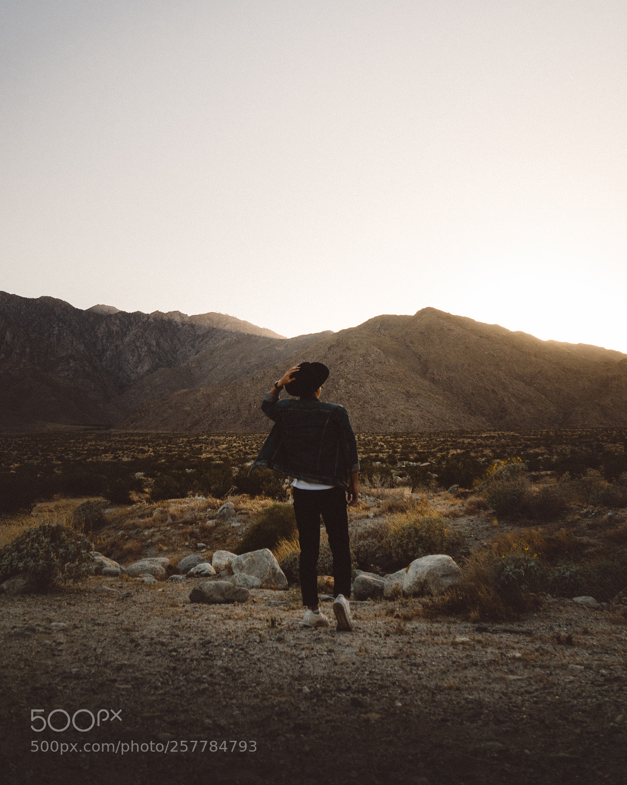 Sony a6300 sample photo. Desert days in palm photography