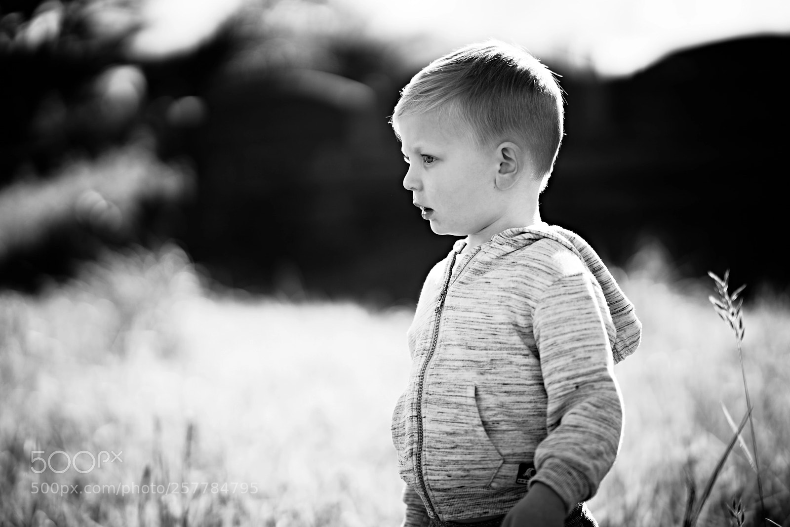 Sony a7R III sample photo. Day one hundred thirty photography