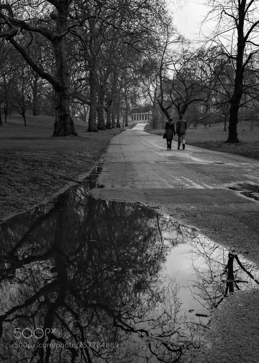 Nikon D5500 sample photo. Wet path photography