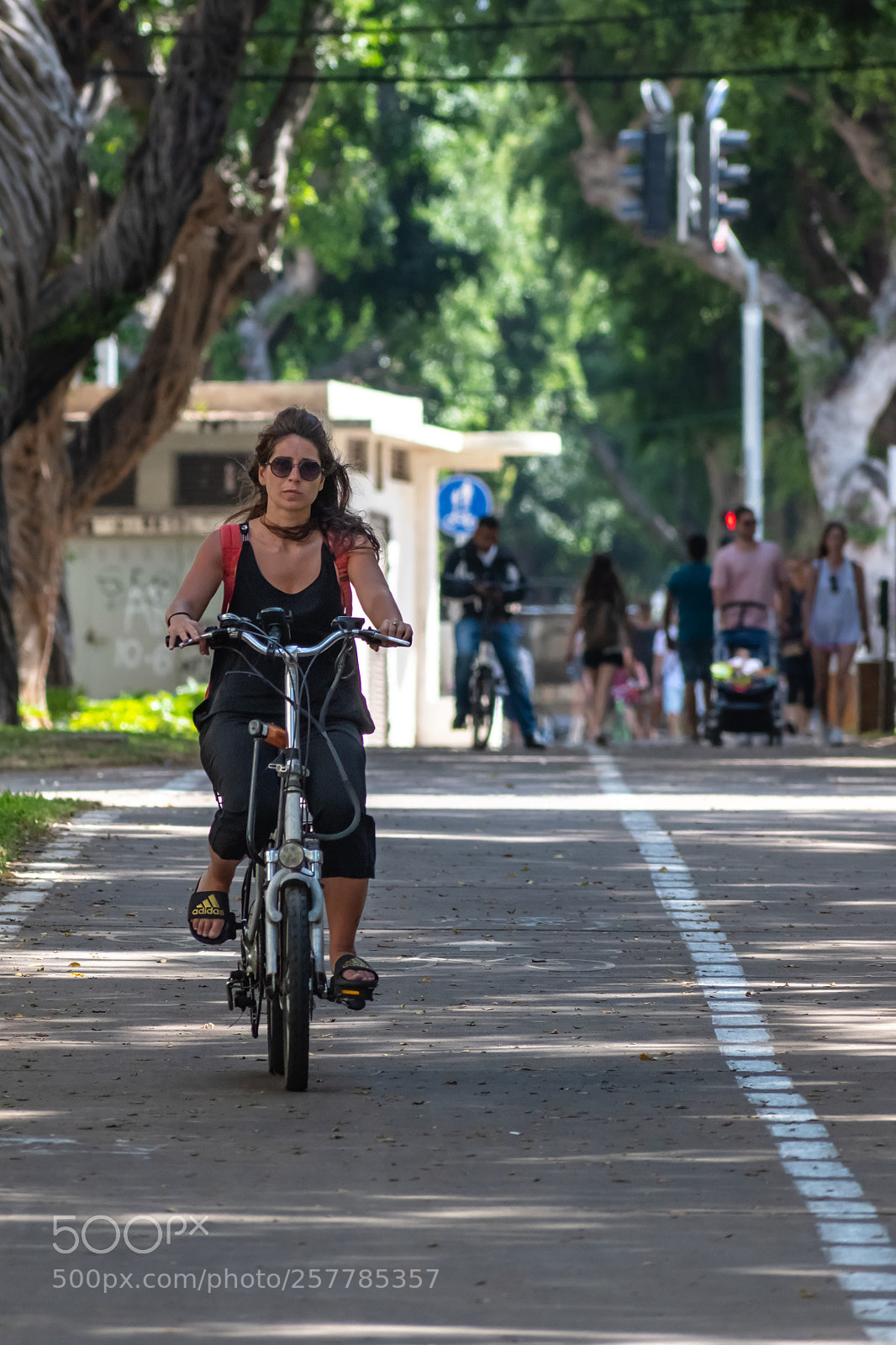 Nikon D5600 sample photo. Riding along photography