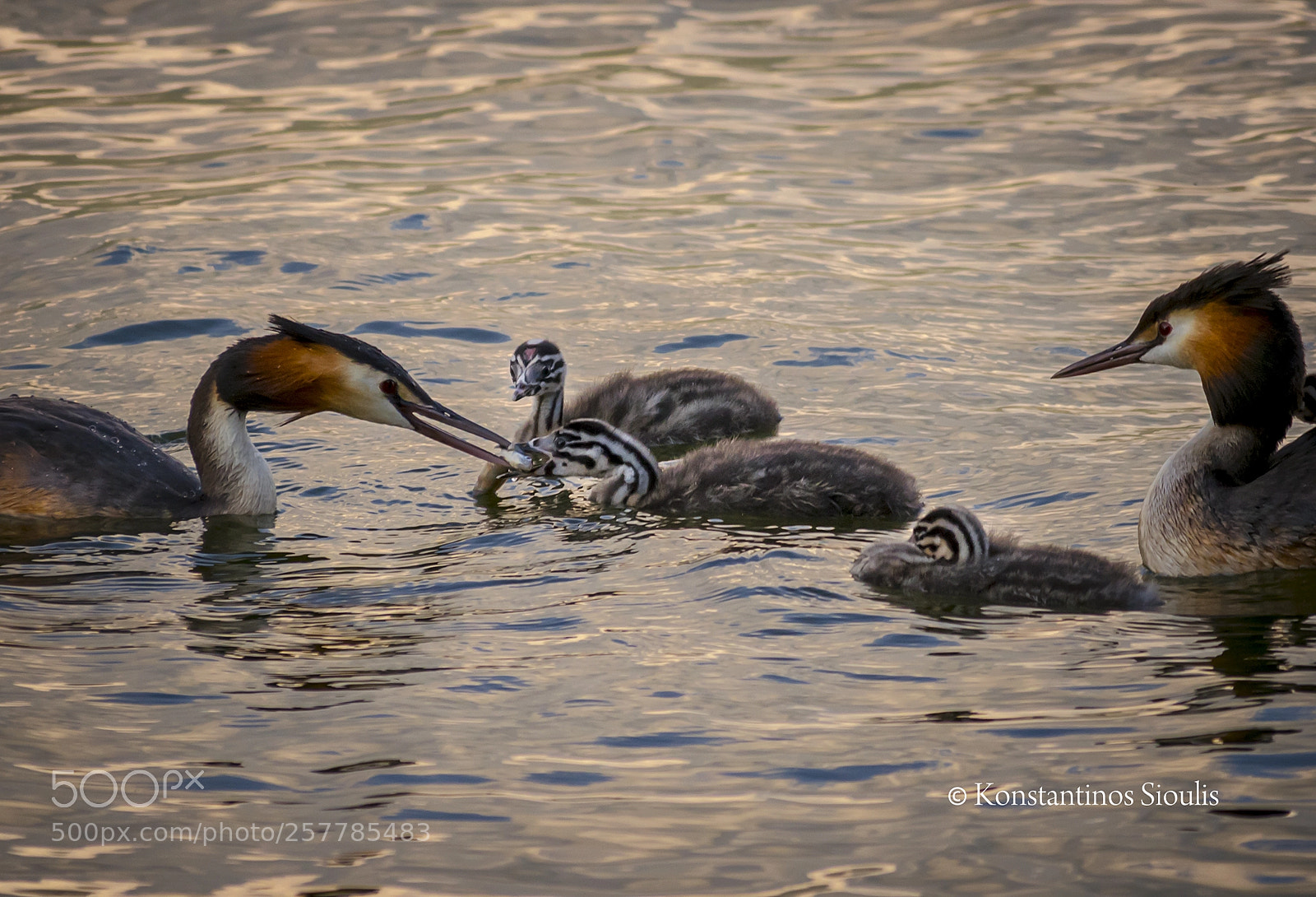 Nikon D3200 sample photo. Untitled photography
