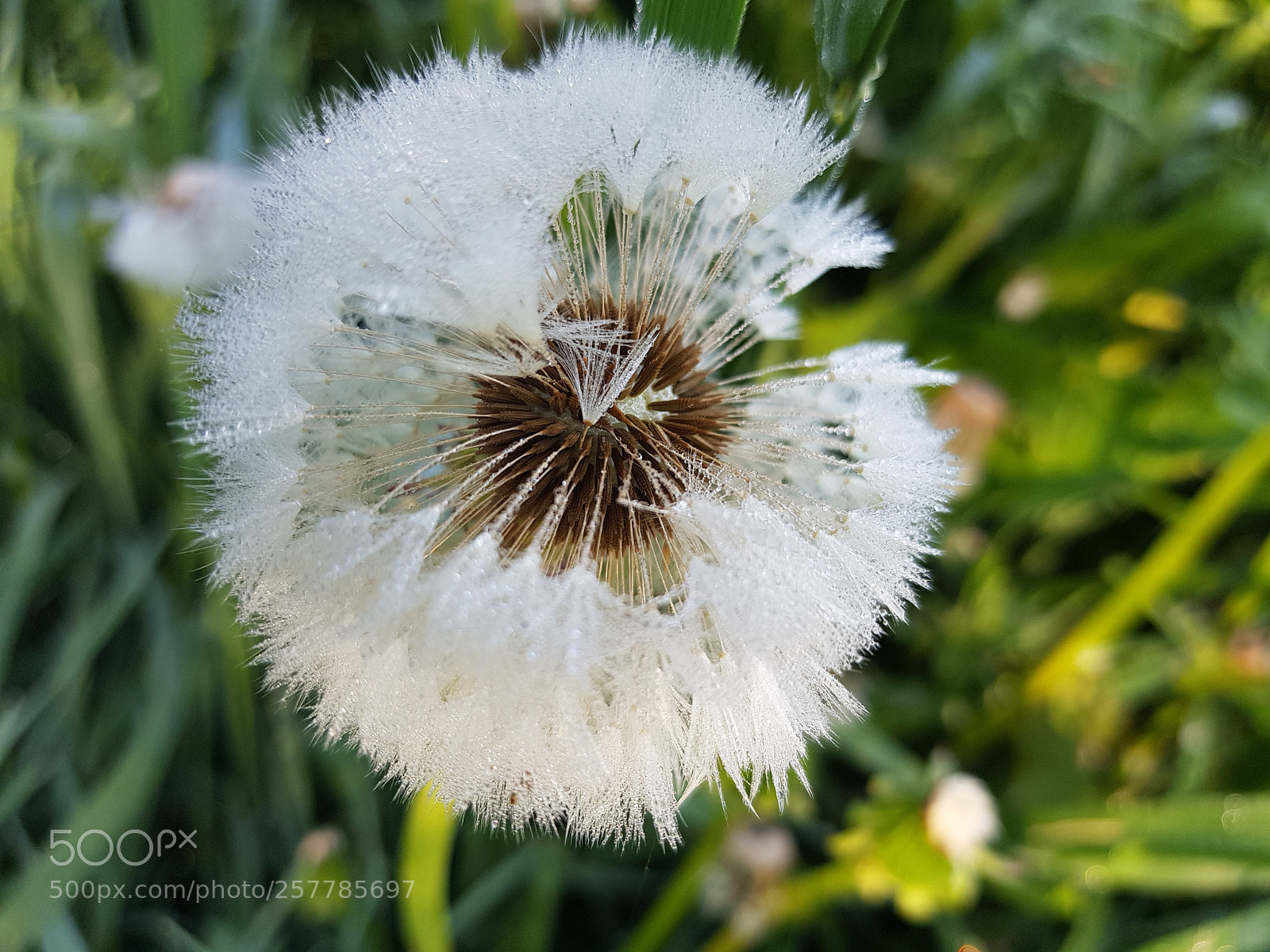 Samsung Galaxy S8 sample photo. Inside photography