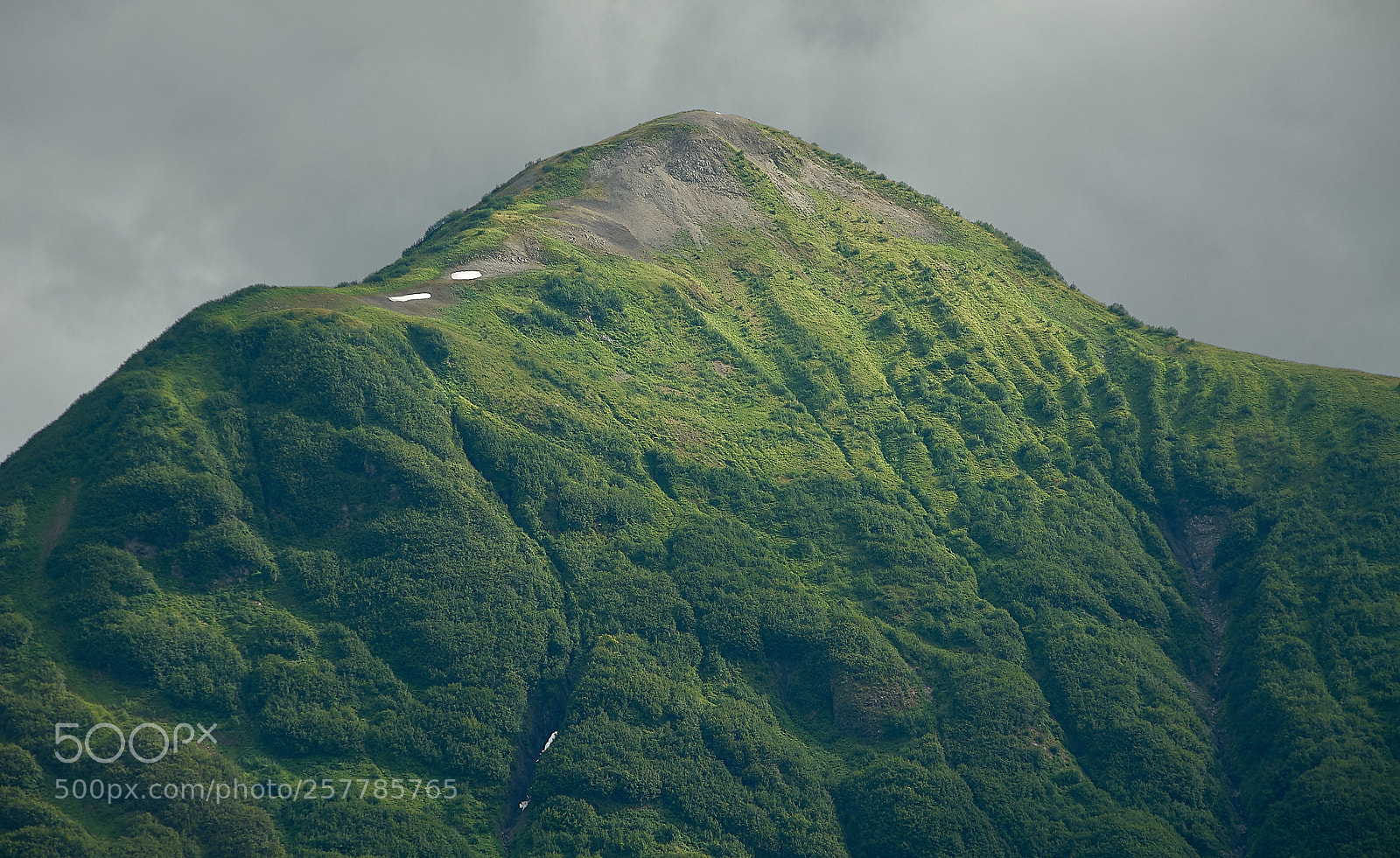 Nikon D200 sample photo. Alaska painterly #1 photography