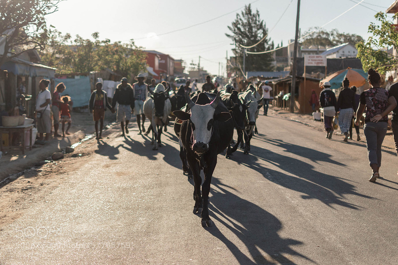 Nikon D3200 sample photo. Madagascar 14 photography