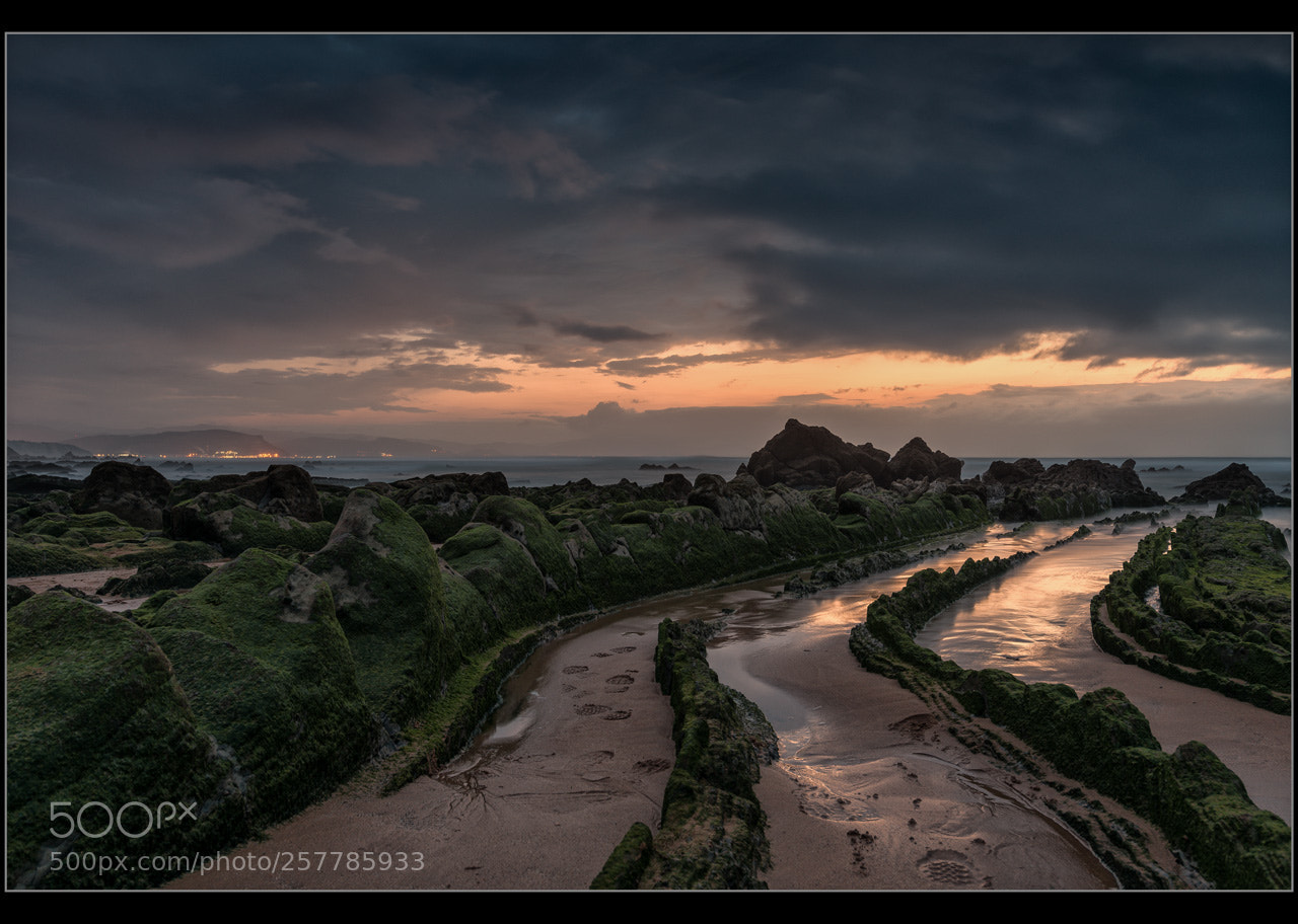 Nikon D750 sample photo. Barrika verde photography