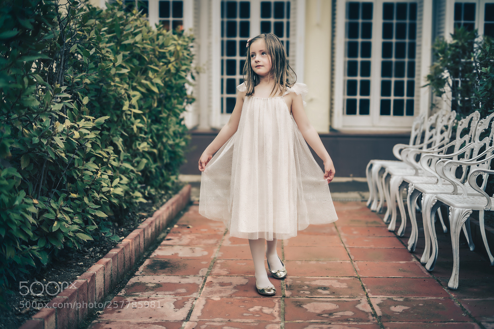 Sony a7R II sample photo. Walking like a lady photography