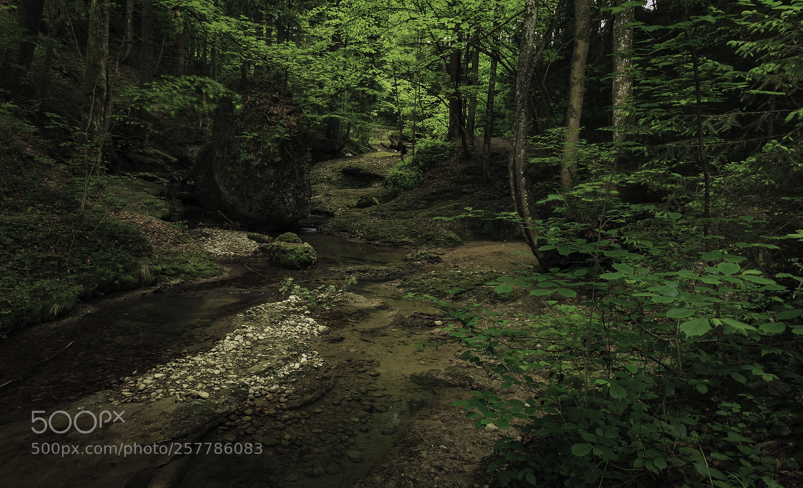 Canon EOS 5D Mark II sample photo. Untitled photography
