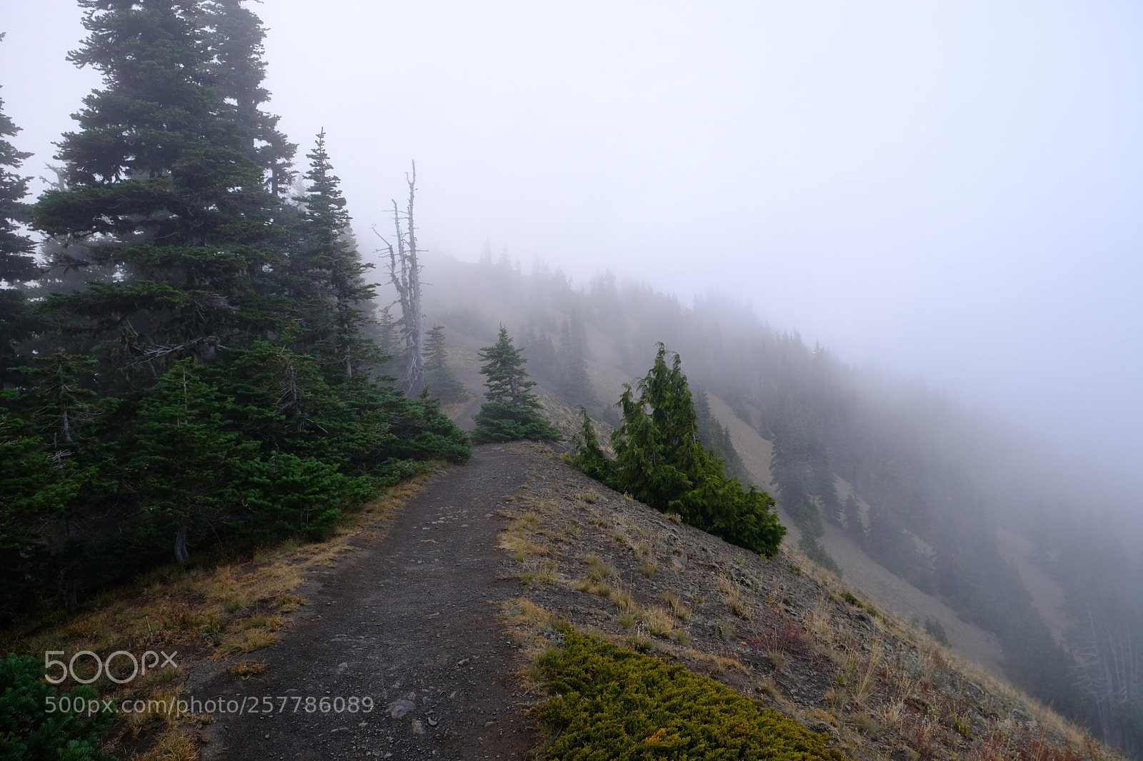 Fujifilm X-T20 sample photo. Hiking in the clouds photography