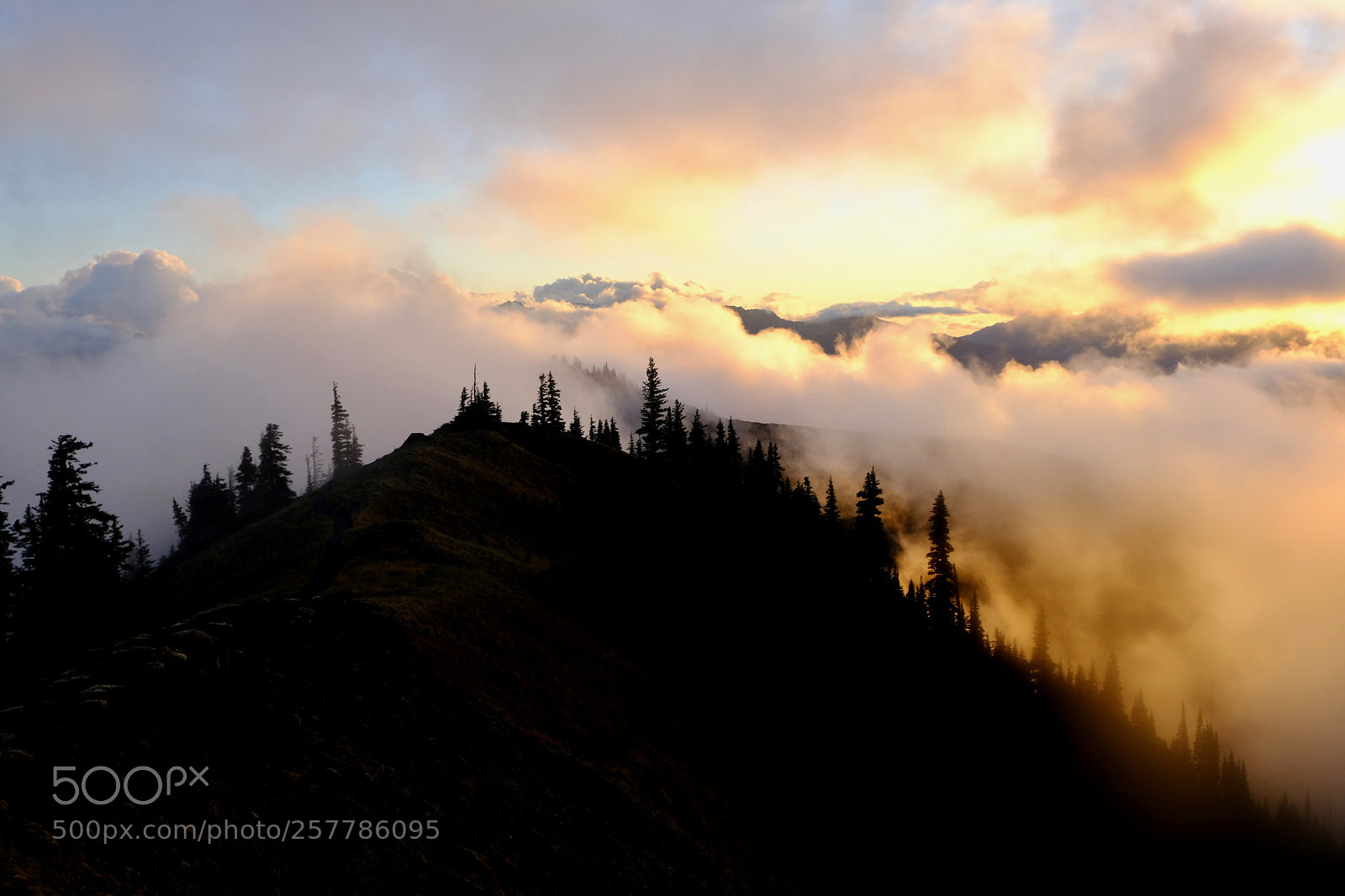 Fujifilm X-T20 sample photo. Hurricane ridge sunset fog 1 photography